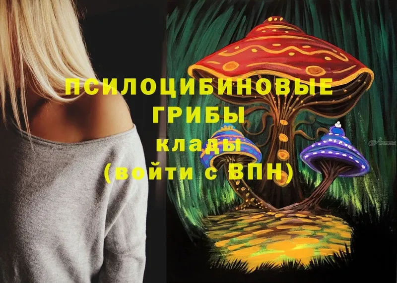 закладка  Мураши  МЕГА как зайти  Галлюциногенные грибы MAGIC MUSHROOMS 